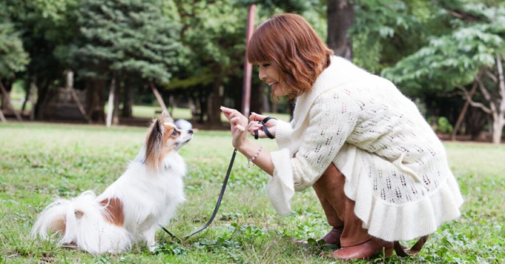 Lady training dog to sit
