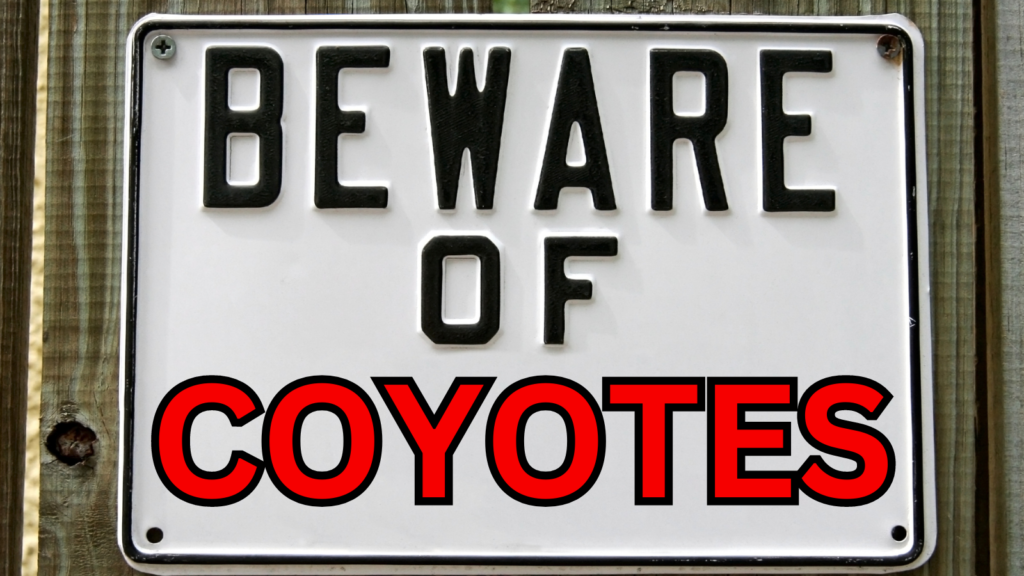 beware of coyotes sign - Protect Your Dog from Coyotes