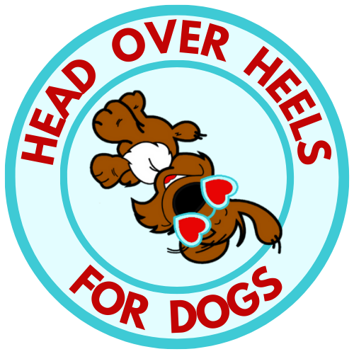 Head Over Heels For Dogs