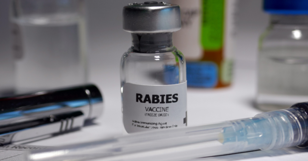 Rabies, image of vaccine vial and syringe