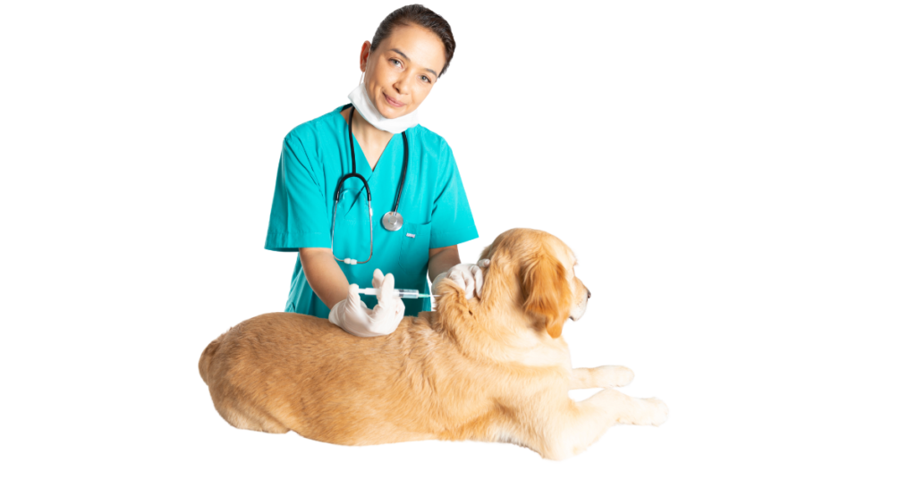 puppy vaccination, image of golden retriever getting vaccine