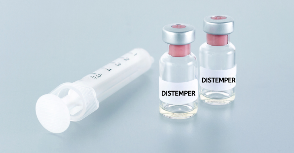 distemper, image of 2 vials of distemper vaccine and syringe