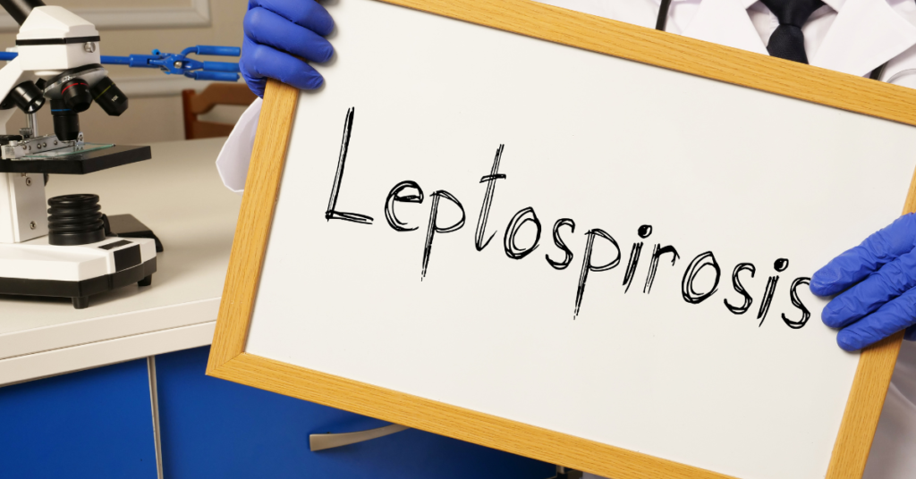 Leptospirosis in Dogs, image of medical person holding sign with microscope in background