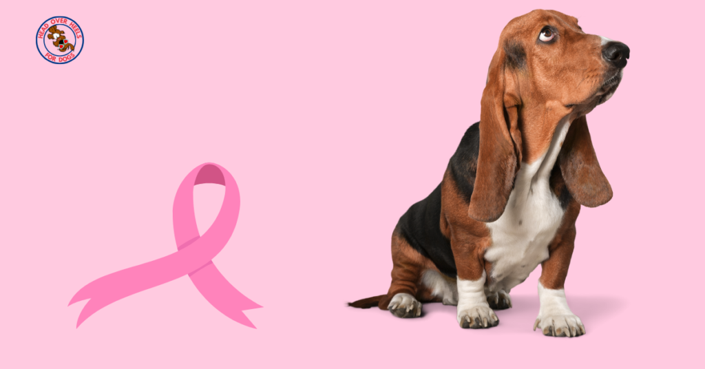 breast cancer in dogs, image pink ribbon and bassett hound