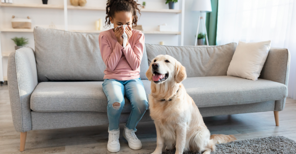 Hypoallergenic dogs, image of a girl with allergies holding a tissue to her nose next to a dog