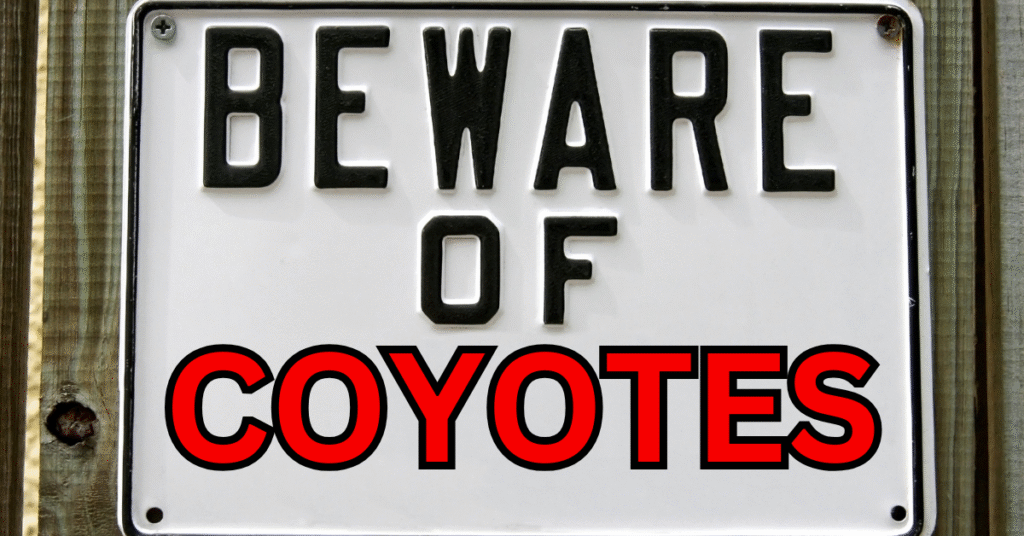 Beware of Coyotes Sign