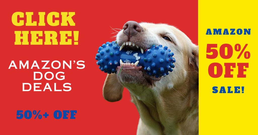 50% OFF DOG DEALS AMAZON