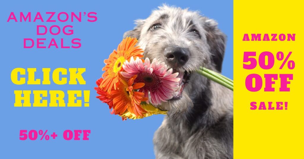 50% OFF AMAZON AD FOR DOG ITEMS