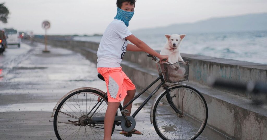 Kishu Ken