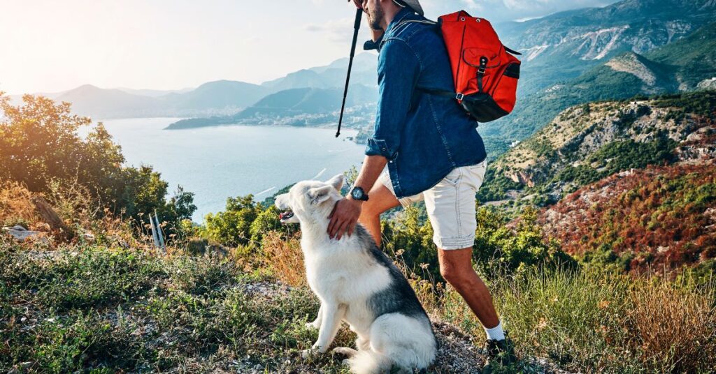 Man and dog hiking at a lake with mountains