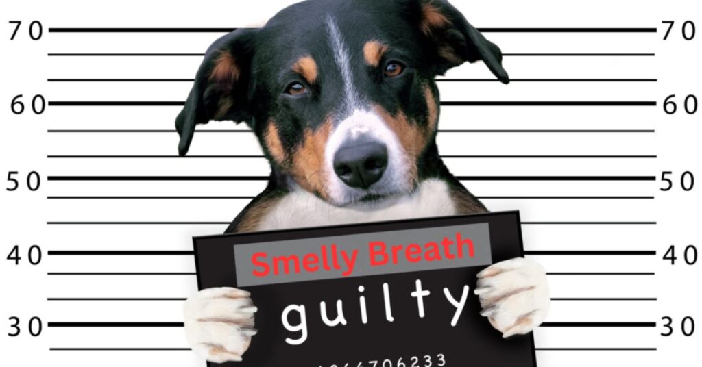 Dog holding a Smelly Breath guilty sign - Smelly Doggy Breath