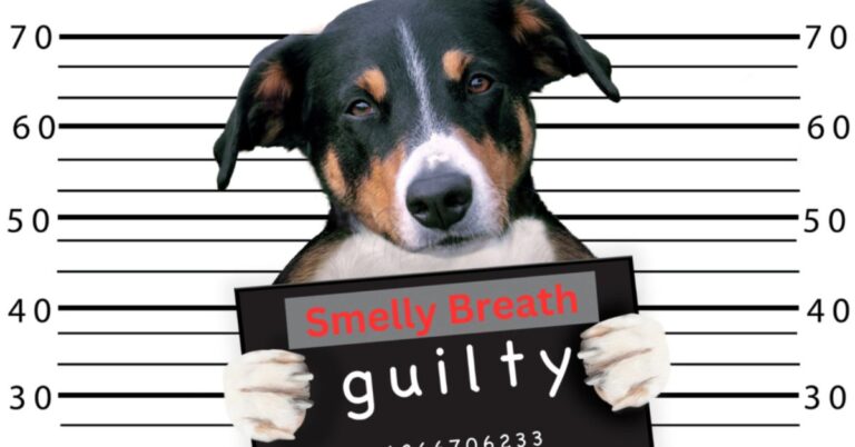 Smelly Doggy Breath: 11 Reasons Your Dog’s Breath Stinks