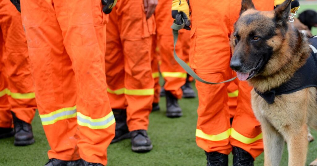 Group of search and rescue people with dog