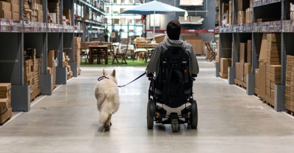 Service dog and Veteran in wheelchair going down aisle in store