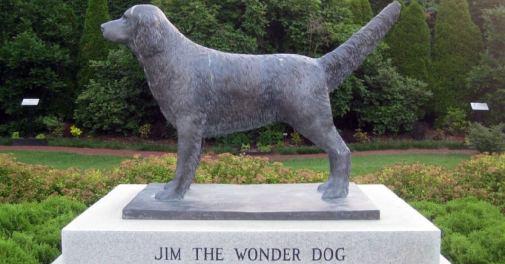 Statue of Jim the Wonder Dog