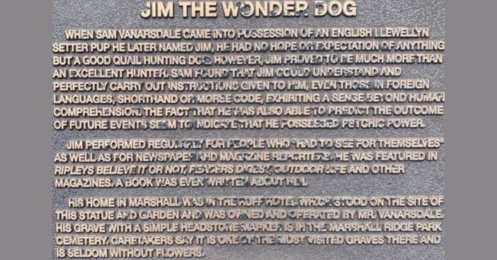Jim the Wonder Dog Plaque