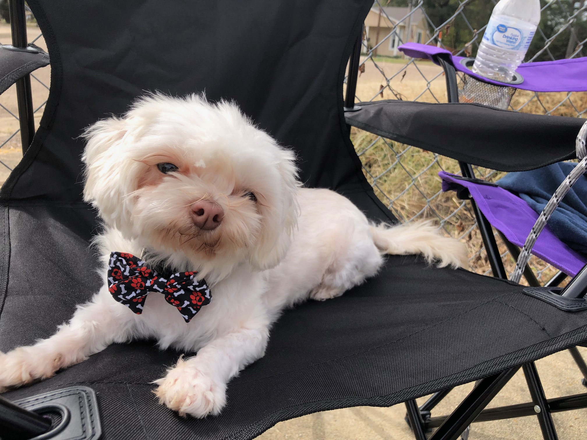 Sif a.k.a. Siffy, Sif-A-Roni, Sifward, Sifwardo, Chief