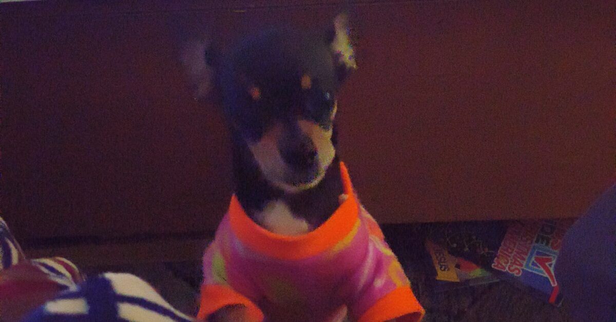 inbound8280721553264237702