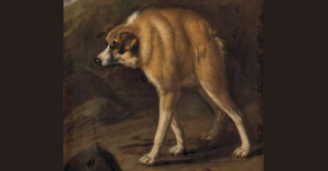 Portrait of dog with short spine syndrome